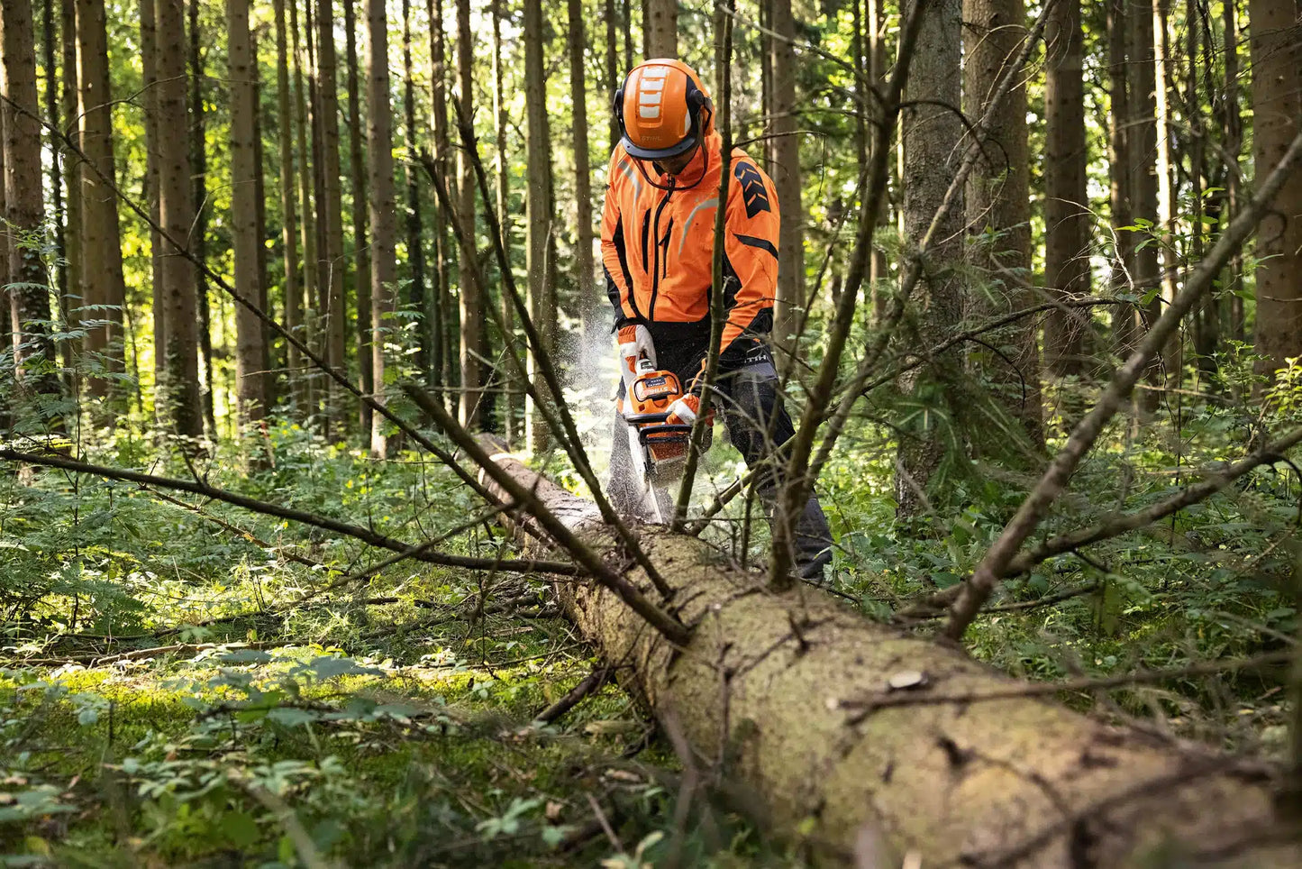 Tronçonneuse à batterie STIHL MSA 300 C-O – Guide 40 cm