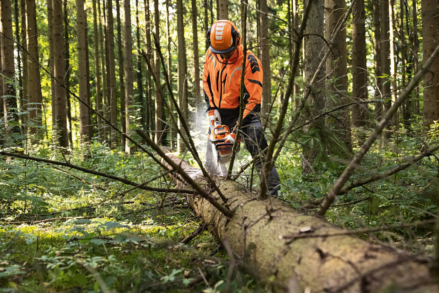 Tronçonneuse à batterie STIHL MSA 300 C-O – Guide 40 cm